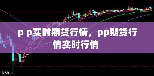p p實時期貨行情，pp期貨行情實時行情 