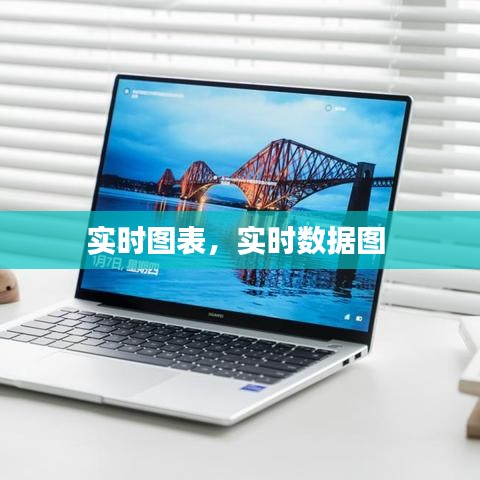 實時圖表，實時數(shù)據(jù)圖 