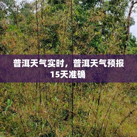 普洱天氣實時，普洱天氣預報15天準確 