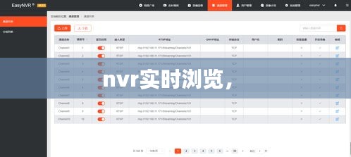 nvr實(shí)時(shí)瀏覽， 