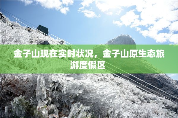 金子山現(xiàn)在實時狀況，金子山原生態(tài)旅游度假區(qū) 