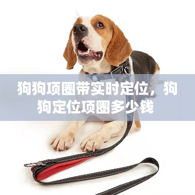 狗狗項(xiàng)圈帶實(shí)時(shí)定位，狗狗定位項(xiàng)圈多少錢 