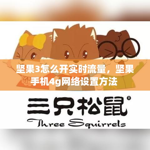 堅(jiān)果3怎么開實(shí)時(shí)流量，堅(jiān)果手機(jī)4g網(wǎng)絡(luò)設(shè)置方法 