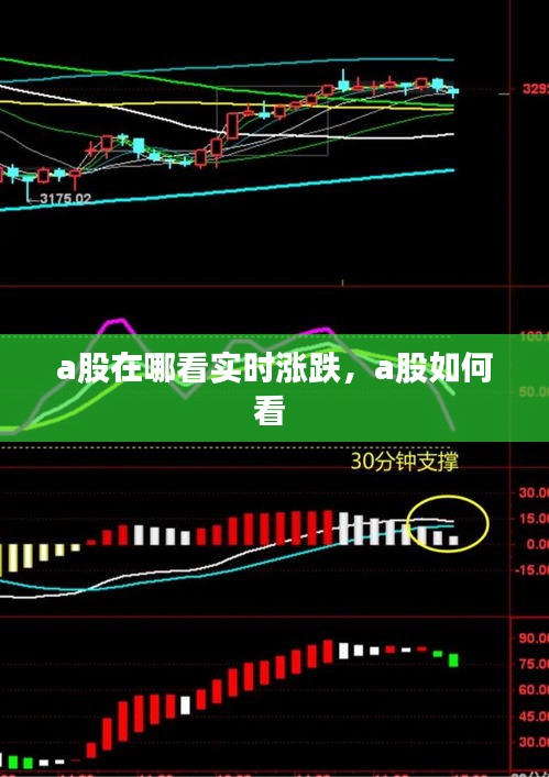 a股在哪看實時漲跌，a股如何看 
