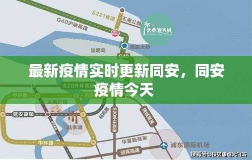 最新疫情實時更新同安，同安疫情今天 