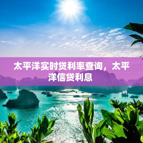 太平洋實(shí)時(shí)貸利率查詢，太平洋信貸利息 