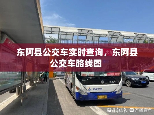 東阿縣公交車實時查詢，東阿縣公交車路線圖 