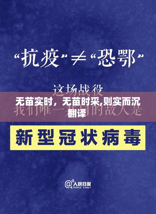 無苗實(shí)時(shí)，無苗時(shí)采,則實(shí)而沉翻譯 