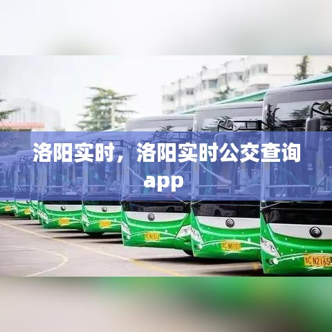 洛陽實(shí)時(shí)，洛陽實(shí)時(shí)公交查詢app 