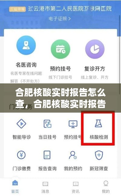 合肥核酸實時報告怎么查，合肥核酸實時報告怎么查結(jié)果 