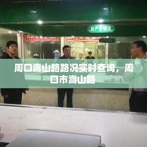 周口嵩山路路況實(shí)時查詢，周口市嵩山路 