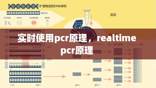 實(shí)時(shí)使用pcr原理，realtime pcr原理 