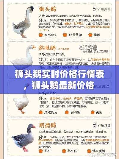 獅頭鵝實時價格行情表，獅頭鵝最新價格 