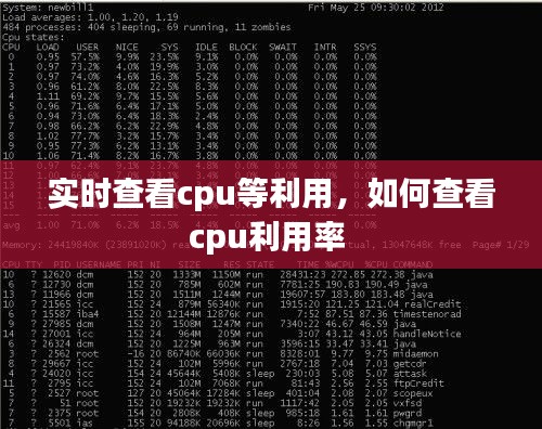 實時查看cpu等利用，如何查看cpu利用率 