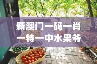 新澳門一碼一肖一特一中水果爺爺：用心經(jīng)營美好人生