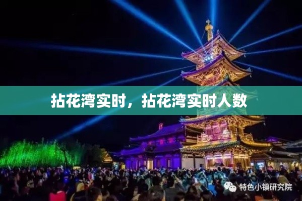 拈花灣實(shí)時(shí)，拈花灣實(shí)時(shí)人數(shù) 