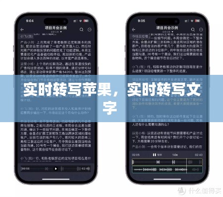 實時轉(zhuǎn)寫蘋果，實時轉(zhuǎn)寫文字 