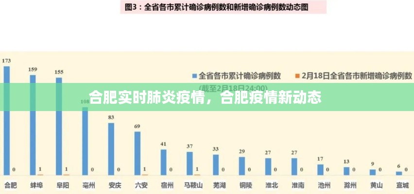 合肥實(shí)時(shí)肺炎疫情，合肥疫情新動(dòng)態(tài) 