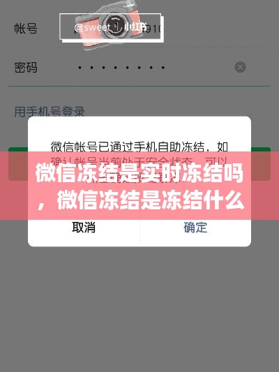 微信凍結(jié)是實時凍結(jié)嗎，微信凍結(jié)是凍結(jié)什么 