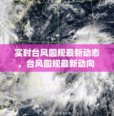 實時臺風(fēng)圓規(guī)最新動態(tài)，臺風(fēng)圓規(guī)最新動向 