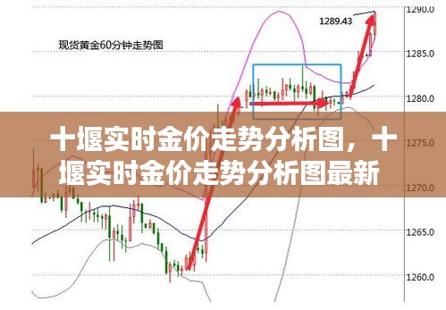 十堰實(shí)時(shí)金價(jià)走勢(shì)分析圖，十堰實(shí)時(shí)金價(jià)走勢(shì)分析圖最新 