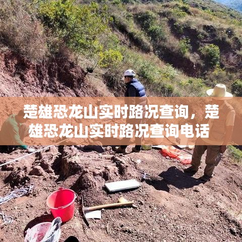 楚雄恐龍山實(shí)時(shí)路況查詢，楚雄恐龍山實(shí)時(shí)路況查詢電話 