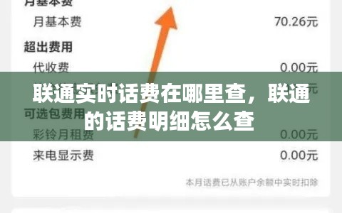 聯(lián)通實(shí)時(shí)話費(fèi)在哪里查，聯(lián)通的話費(fèi)明細(xì)怎么查 