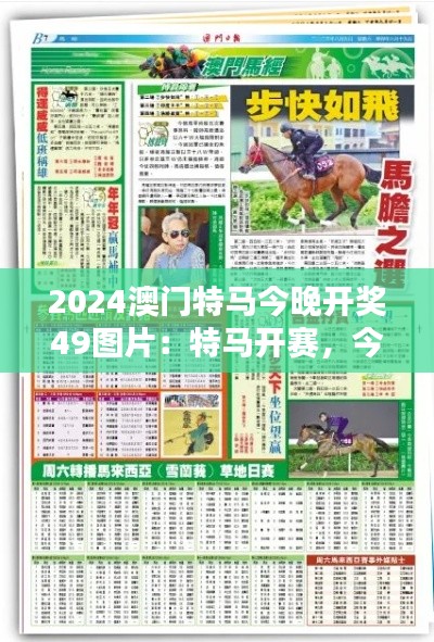 2024澳門特馬今晚開獎(jiǎng)49圖片：特馬開賽，今夜澳門的焦點(diǎn)