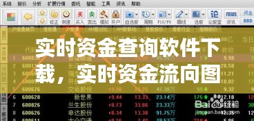 實(shí)時(shí)資金查詢軟件下載，實(shí)時(shí)資金流向圖怎么看 