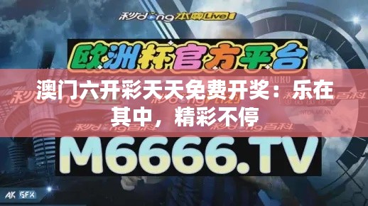 澳門六開彩天天免費開獎：樂在其中，精彩不停