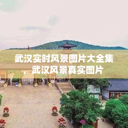 武漢實時風(fēng)景圖片大全集，武漢風(fēng)景真實圖片 