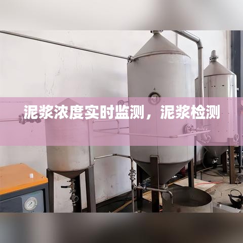 泥漿濃度實(shí)時(shí)監(jiān)測，泥漿檢測 