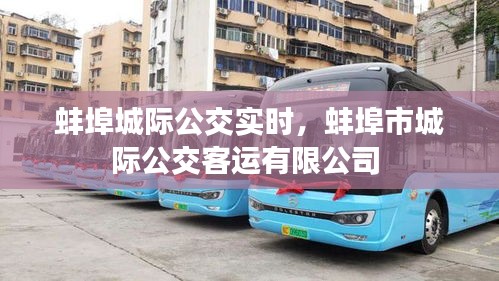蚌埠城際公交實時，蚌埠市城際公交客運有限公司 