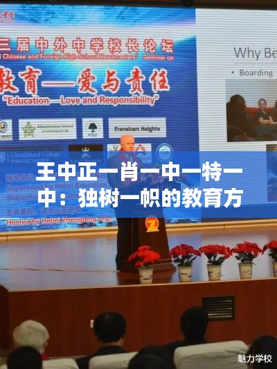 王中正一肖一中一特一中：獨(dú)樹一幟的教育方法揭秘