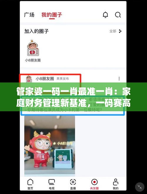 管家婆一碼一肖最準(zhǔn)一肖：家庭財(cái)務(wù)管理新基準(zhǔn)，一碼賽高人