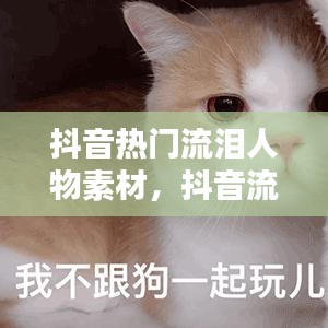 抖音熱門流淚人物素材，抖音流淚的表情包圖 