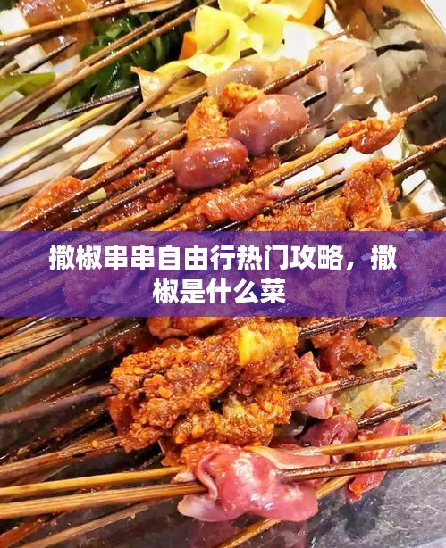 撒椒串串自由行熱門攻略，撒椒是什么菜 