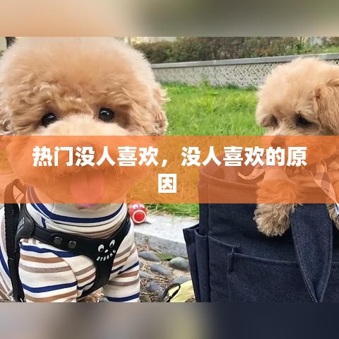 熱門沒人喜歡，沒人喜歡的原因 