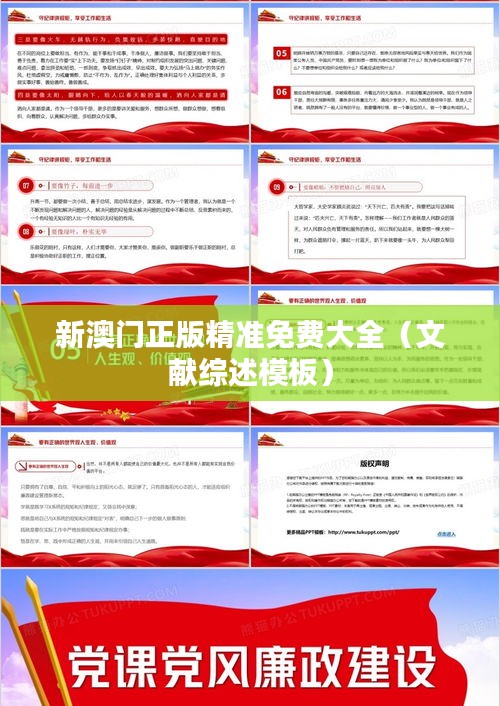 新澳門正版精準(zhǔn)免費(fèi)大全（文獻(xiàn)綜述模板）