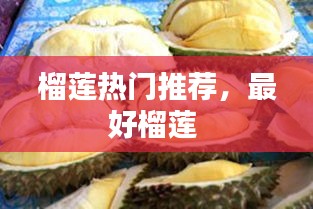 榴蓮熱門(mén)推薦，最好榴蓮 