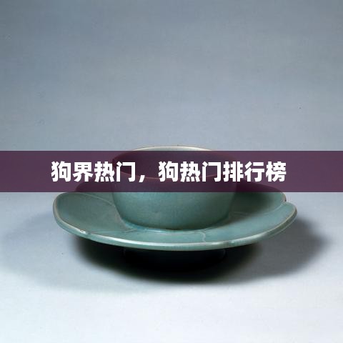 狗界熱門，狗熱門排行榜 