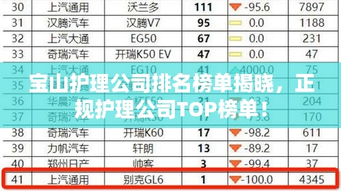 寶山護(hù)理公司排名榜單揭曉，正規(guī)護(hù)理公司TOP榜單！