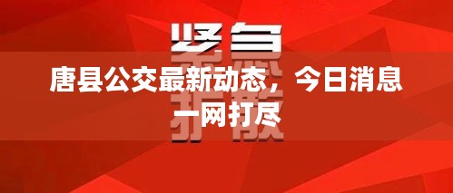 張皇無措 第3頁