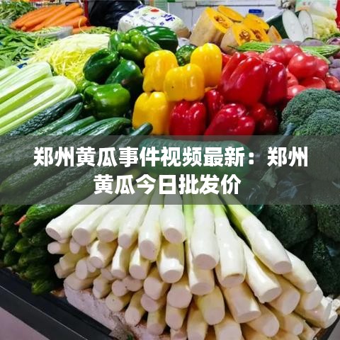 鄭州黃瓜事件視頻最新：鄭州黃瓜今日批發(fā)價(jià) 