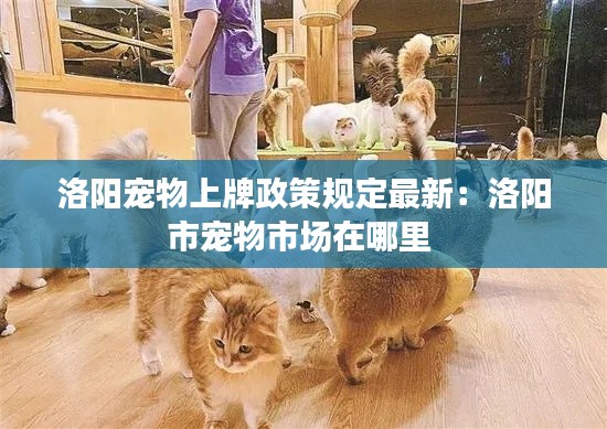 范張雞黍 第3頁