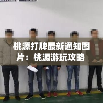 桃源打牌最新通知圖片：桃源游玩攻略 