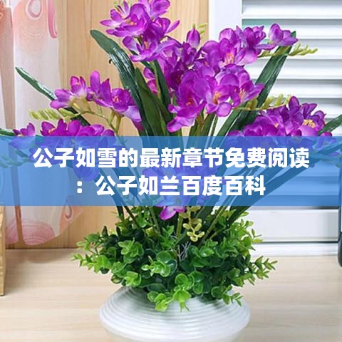 公子如雪的最新章節(jié)免費(fèi)閱讀：公子如蘭百度百科 