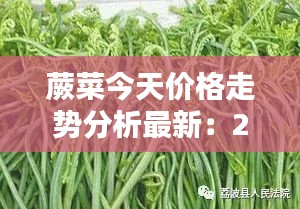 蕨菜今天價格走勢分析最新：2019蕨菜收購廠家價格 