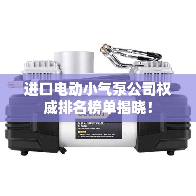 進口電動小氣泵公司權威排名榜單揭曉！