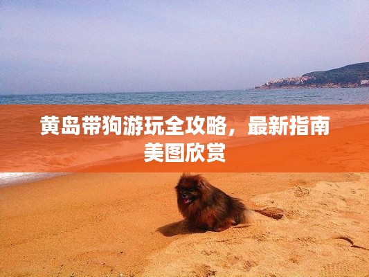 黃島帶狗游玩全攻略，最新指南美圖欣賞